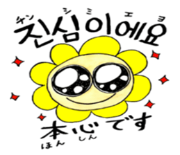 Korean-Japanese sunflower "tommy"~cheer sticker #13010414