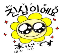 Korean-Japanese sunflower "tommy"~cheer sticker #13010414