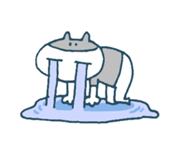 The life of K-pop lover cat sticker #13010529