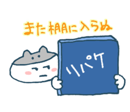 The life of K-pop lover cat sticker #13010541