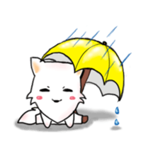 White Shuai Shuai(Momo) sticker #13012146