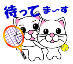 A white cat which plays tennis sticker #13014188
