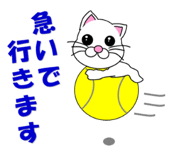 A white cat which plays tennis sticker #13014191