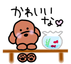 Poodle family 3~Kansai version sticker #13014295