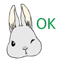 The cute rabbit girl who is in love sticker #13014582