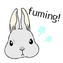 The cute rabbit girl who is in love sticker #13014585