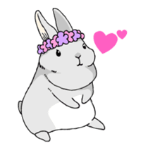 The cute rabbit girl who is in love sticker #13014586
