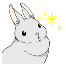 The cute rabbit girl who is in love sticker #13014587