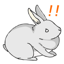 The cute rabbit girl who is in love sticker #13014592