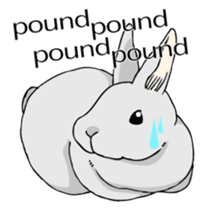 The cute rabbit girl who is in love sticker #13014593