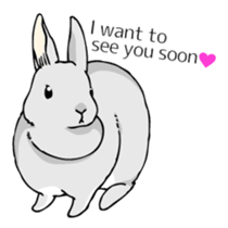 The cute rabbit girl who is in love sticker #13014597