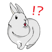 The cute rabbit girl who is in love sticker #13014598