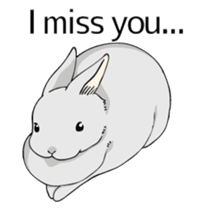 The cute rabbit girl who is in love sticker #13014600