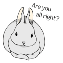 The cute rabbit girl who is in love sticker #13014603