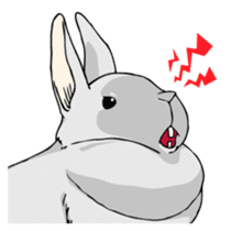 The cute rabbit girl who is in love sticker #13014604