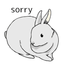 The cute rabbit girl who is in love sticker #13014605