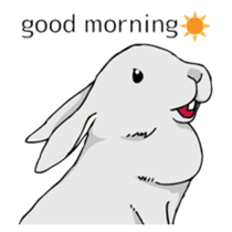 The cute rabbit girl who is in love sticker #13014606