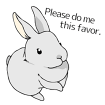 The cute rabbit girl who is in love sticker #13014608