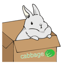 The cute rabbit girl who is in love sticker #13014609