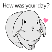 The cute rabbit girl who is in love sticker #13014611