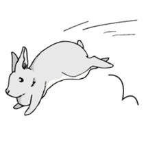 The cute rabbit girl who is in love sticker #13014612