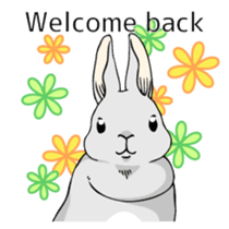 The cute rabbit girl who is in love sticker #13014613