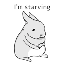 The cute rabbit girl who is in love sticker #13014614