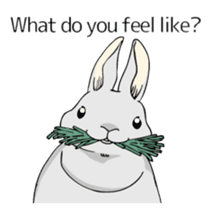 The cute rabbit girl who is in love sticker #13014615