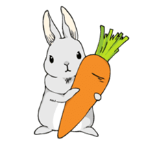 The cute rabbit girl who is in love sticker #13014616