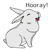 The cute rabbit girl who is in love sticker #13014617