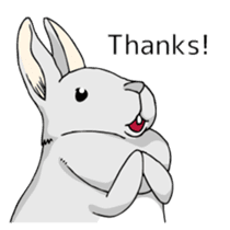 The cute rabbit girl who is in love sticker #13014619