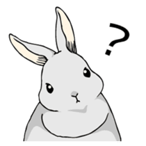 The cute rabbit girl who is in love sticker #13014620