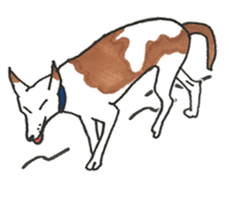 I like dogs sticker #13015058