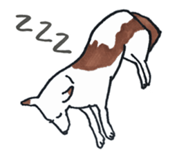 I like dogs sticker #13015061