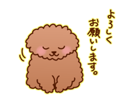 Akuta Torikago