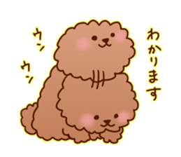 sweet toy poodle sticker #13015664