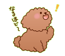 sweet toy poodle sticker #13015665