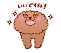 sweet toy poodle sticker #13015666
