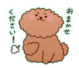 sweet toy poodle sticker #13015669