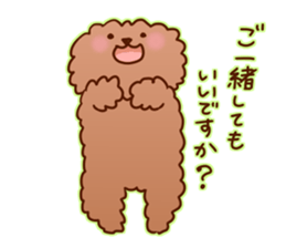 sweet toy poodle sticker #13015670