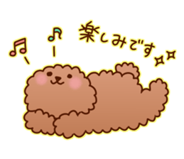 sweet toy poodle sticker #13015671