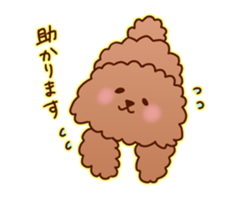sweet toy poodle sticker #13015672