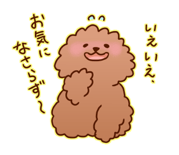 sweet toy poodle sticker #13015673
