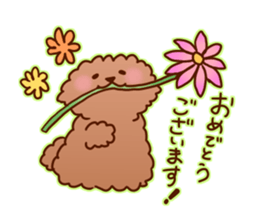 sweet toy poodle sticker #13015674