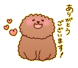 sweet toy poodle sticker #13015675