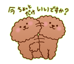 sweet toy poodle sticker #13015676