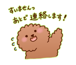 sweet toy poodle sticker #13015677