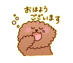 sweet toy poodle sticker #13015678