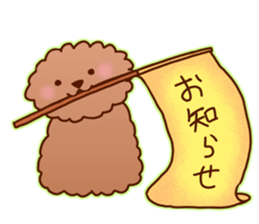 sweet toy poodle sticker #13015680
