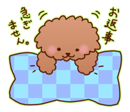 sweet toy poodle sticker #13015681